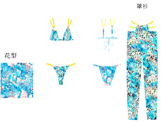 Printed Bikini with Coverup Bikini Suit